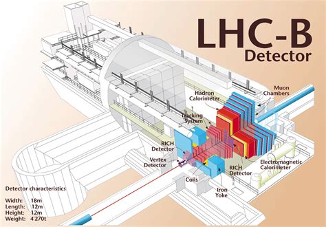 the lhcb detector at the lhc